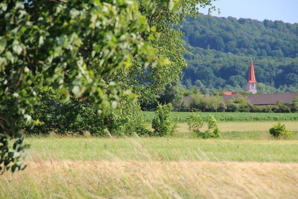 Rotes Ross Marktbergel Kültér fotó